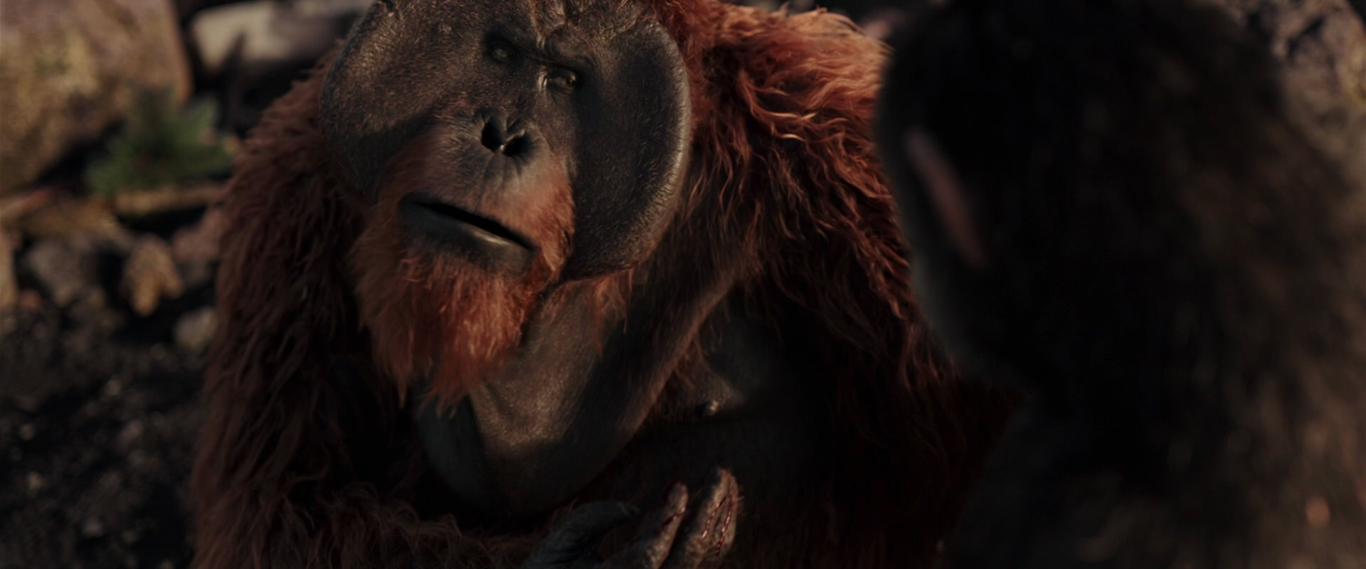 War for the Planet of the Apes (2017) screencap 15243