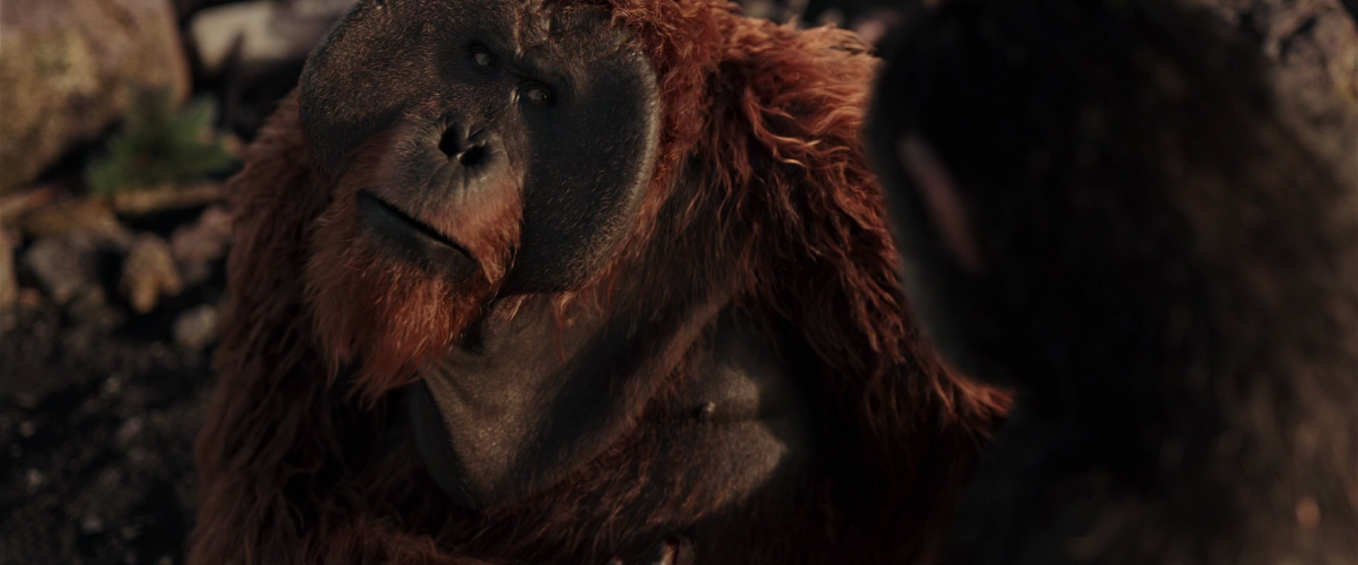 War for the Planet of the Apes (2017) movie still 15244