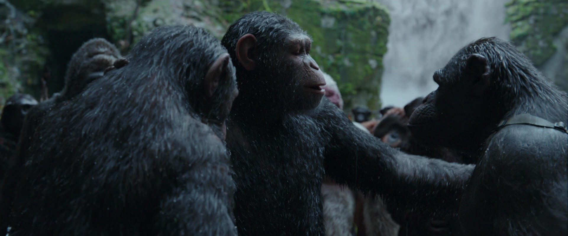 War for the Planet of the Apes (2017) movie still 1525