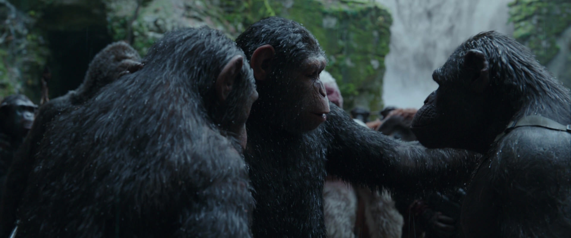 War for the Planet of the Apes (2017) HD screenshot 1526