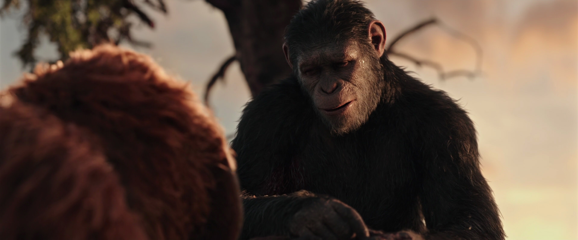 War for the Planet of the Apes (2017) HD screenshot 15263