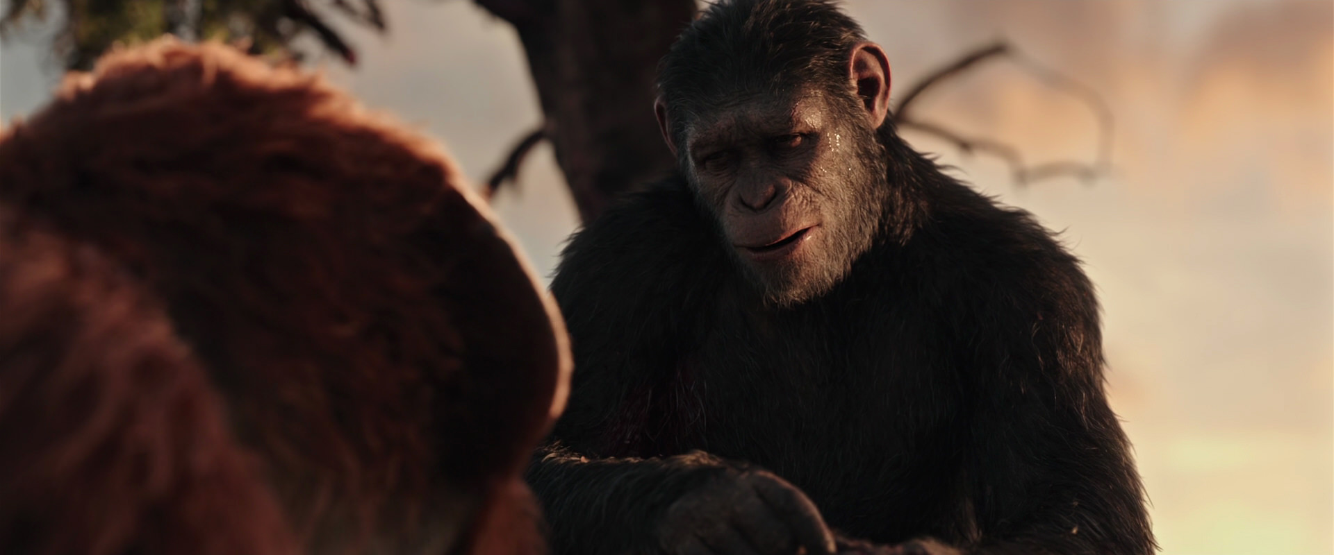 War for the Planet of the Apes (2017) HD screenshot 15266