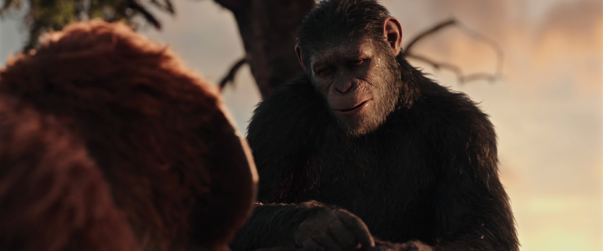 War for the Planet of the Apes (2017) HD screenshot 15269