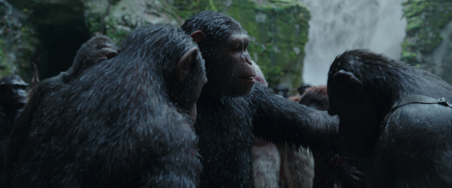 War for the Planet of the Apes (2017) screencap 1527