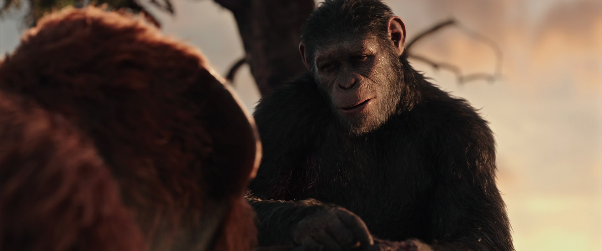 War for the Planet of the Apes (2017) HD screenshot 15272