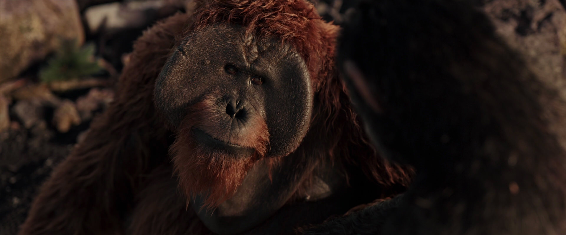 War for the Planet of the Apes (2017) movie still 15274