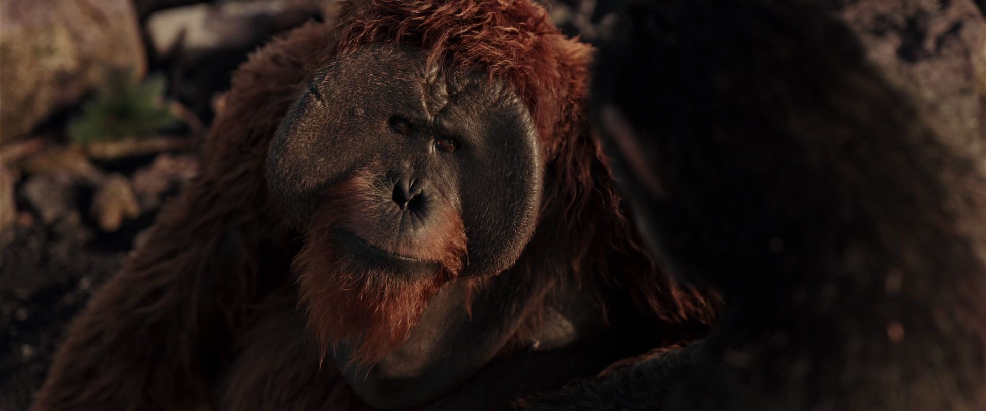War for the Planet of the Apes (2017) HD screenshot 15275