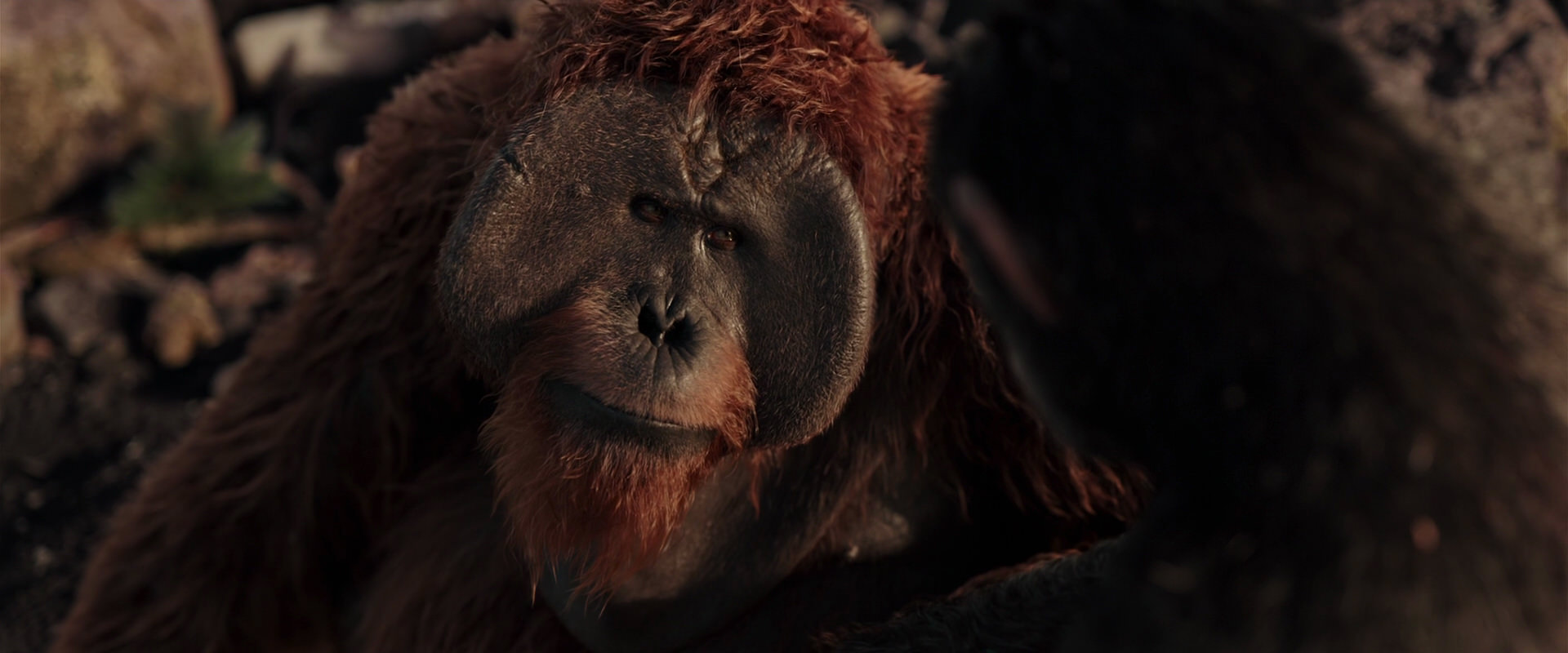 War for the Planet of the Apes (2017) movie still 15277