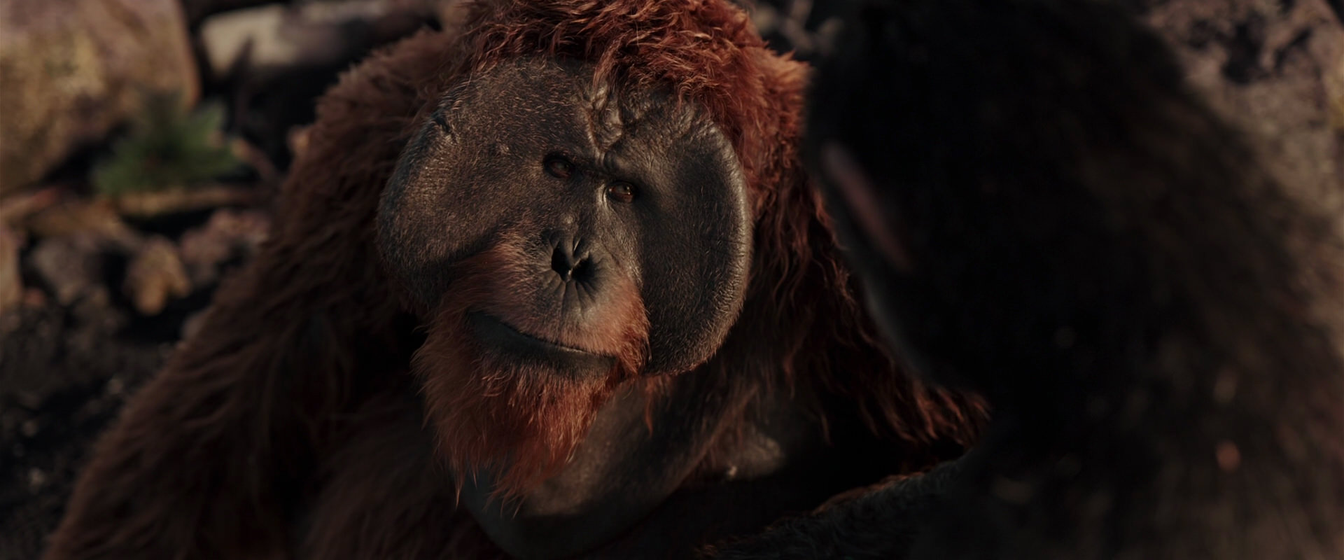 War for the Planet of the Apes (2017) HD screenshot 15278