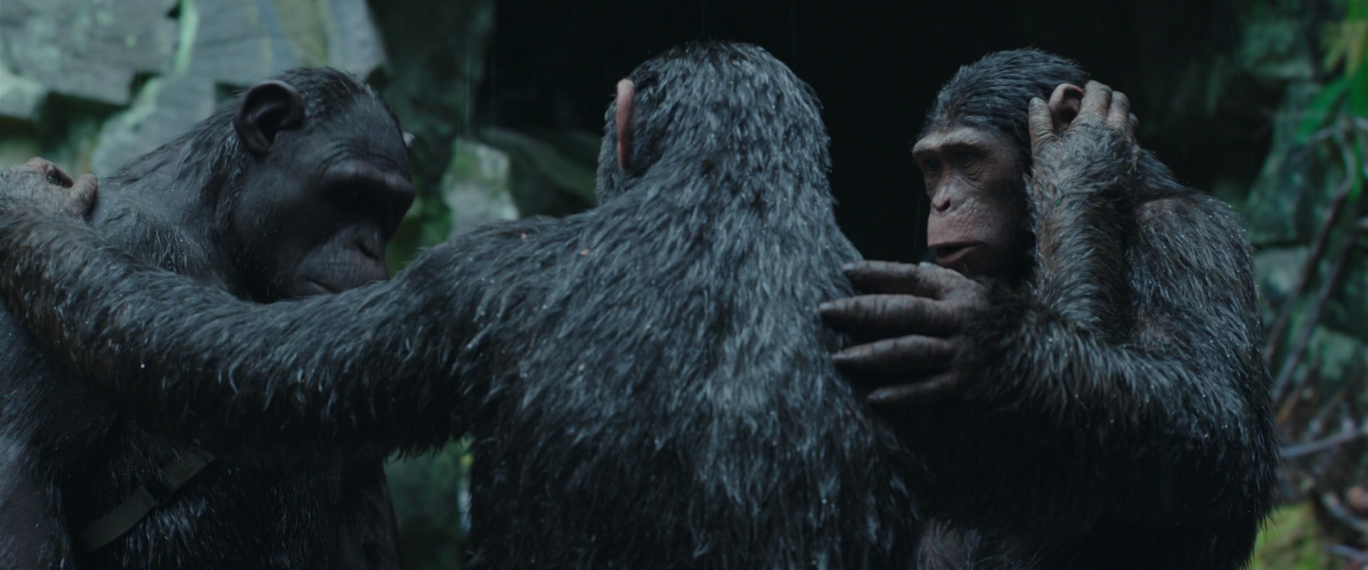 War for the Planet of the Apes (2017) movie still 1528