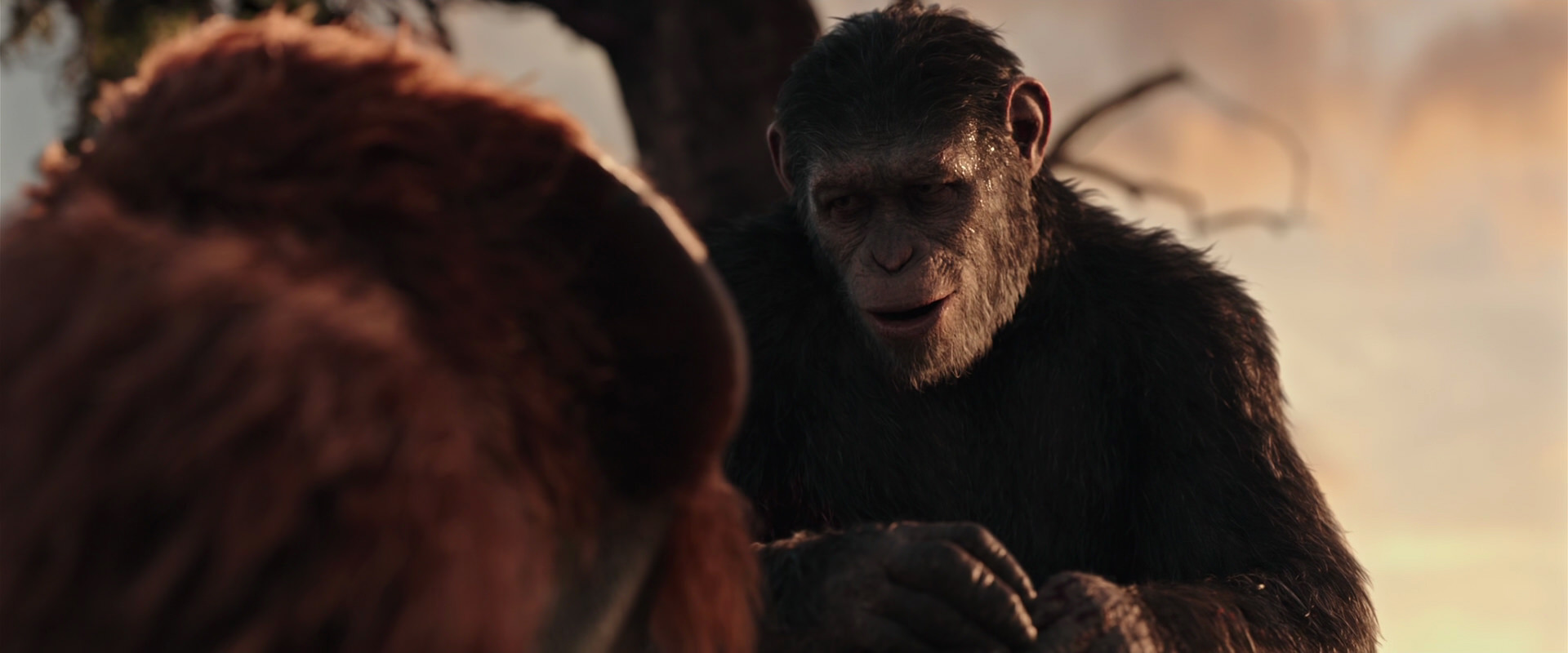 War for the Planet of the Apes (2017) HD screenshot 15281