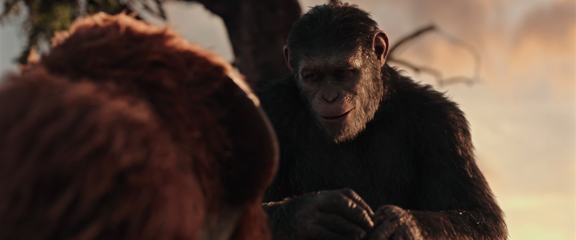 War for the Planet of the Apes (2017) HD screenshot 15287