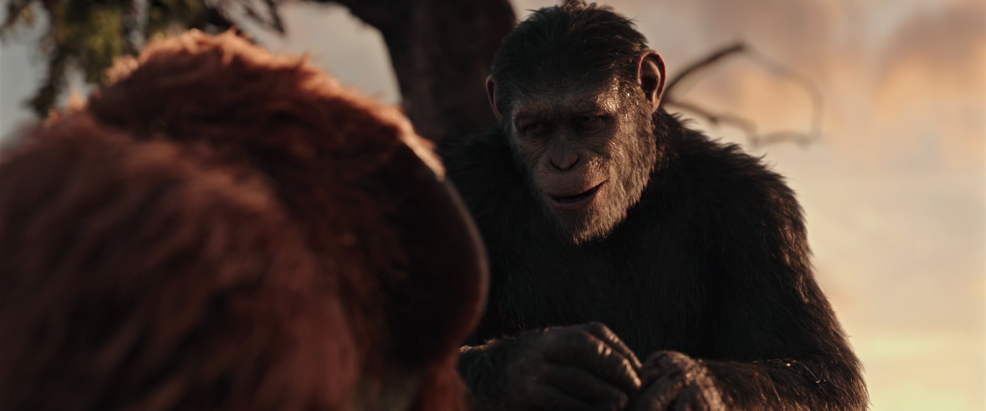 War for the Planet of the Apes (2017) screencap 15288