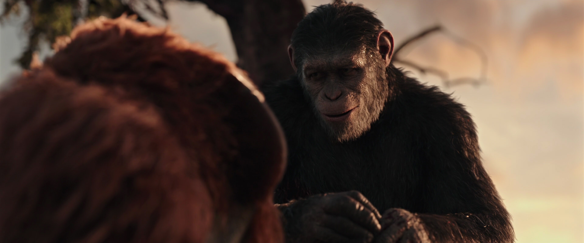 War for the Planet of the Apes (2017) movie still 15289
