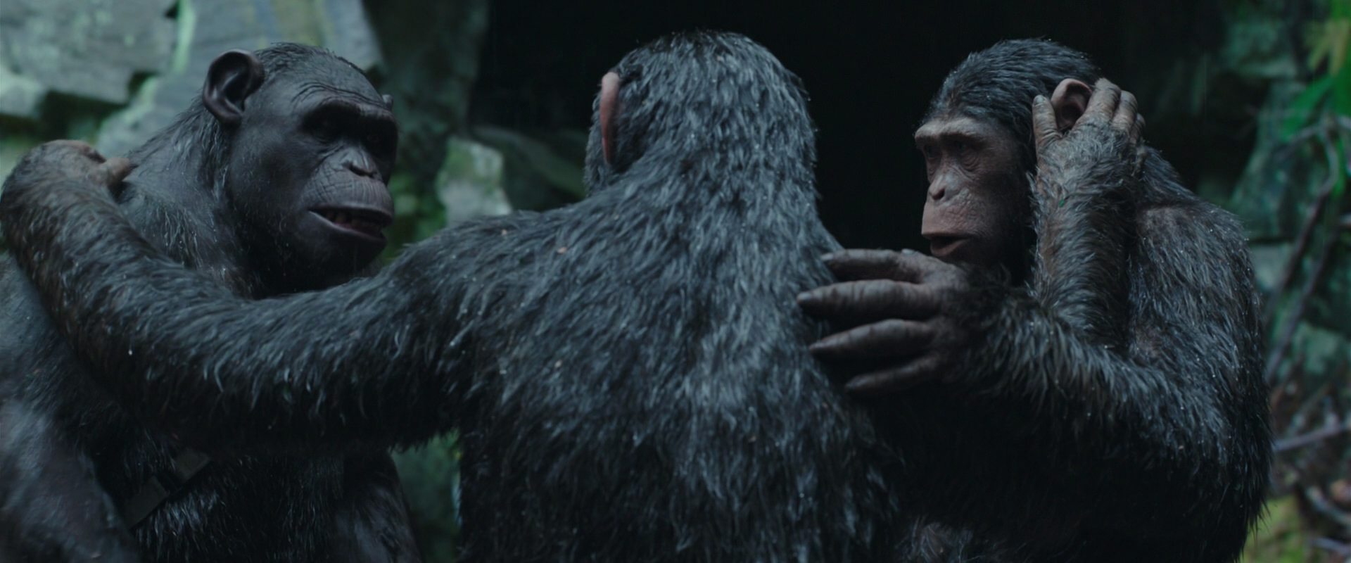 War for the Planet of the Apes (2017) HD screenshot 1529