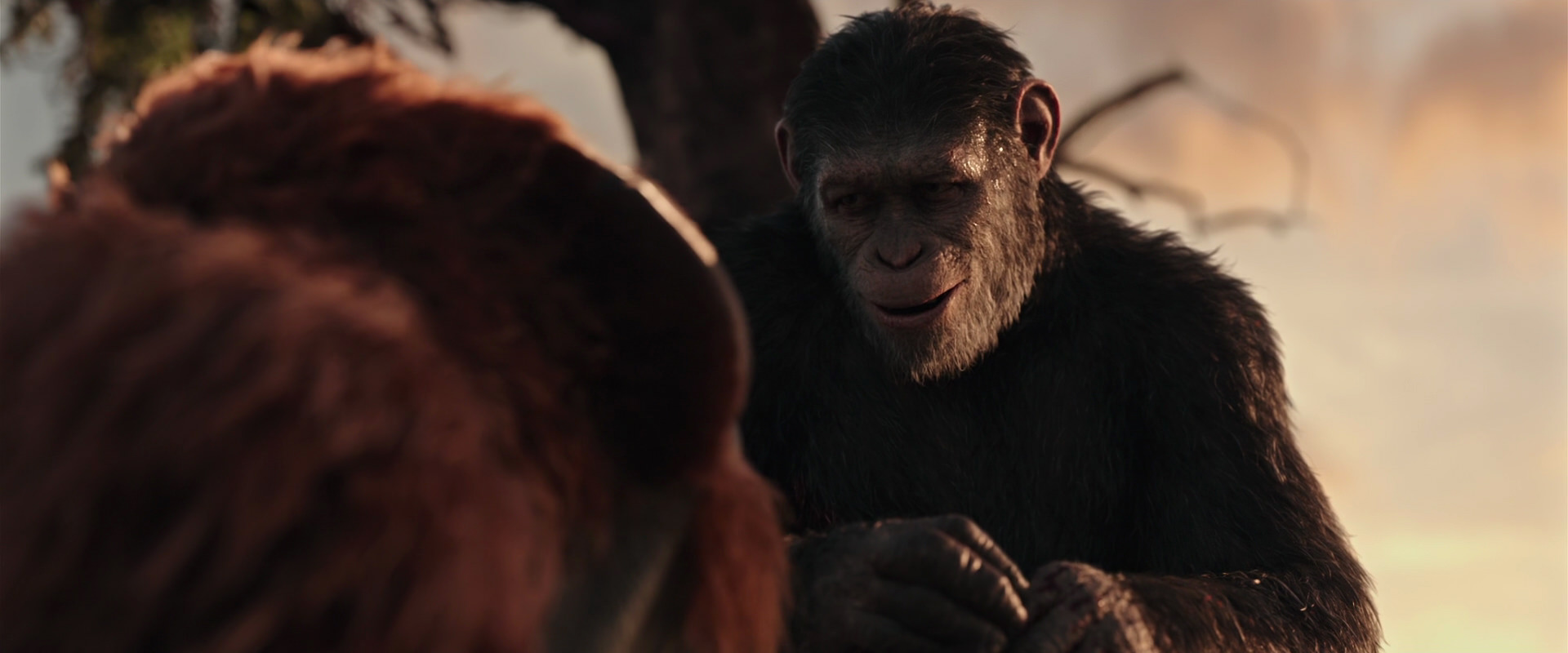 War for the Planet of the Apes (2017) HD screenshot 15290