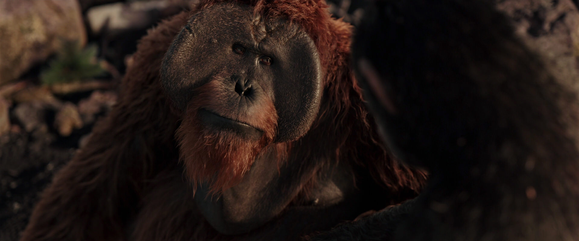 War for the Planet of the Apes (2017) screencap 15291