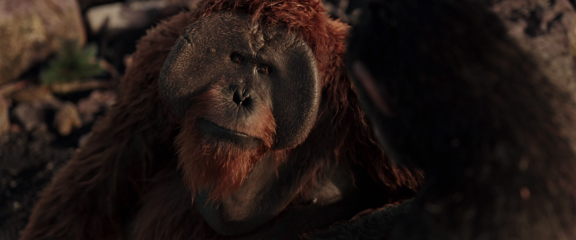 War for the Planet of the Apes (2017) movie still 15292