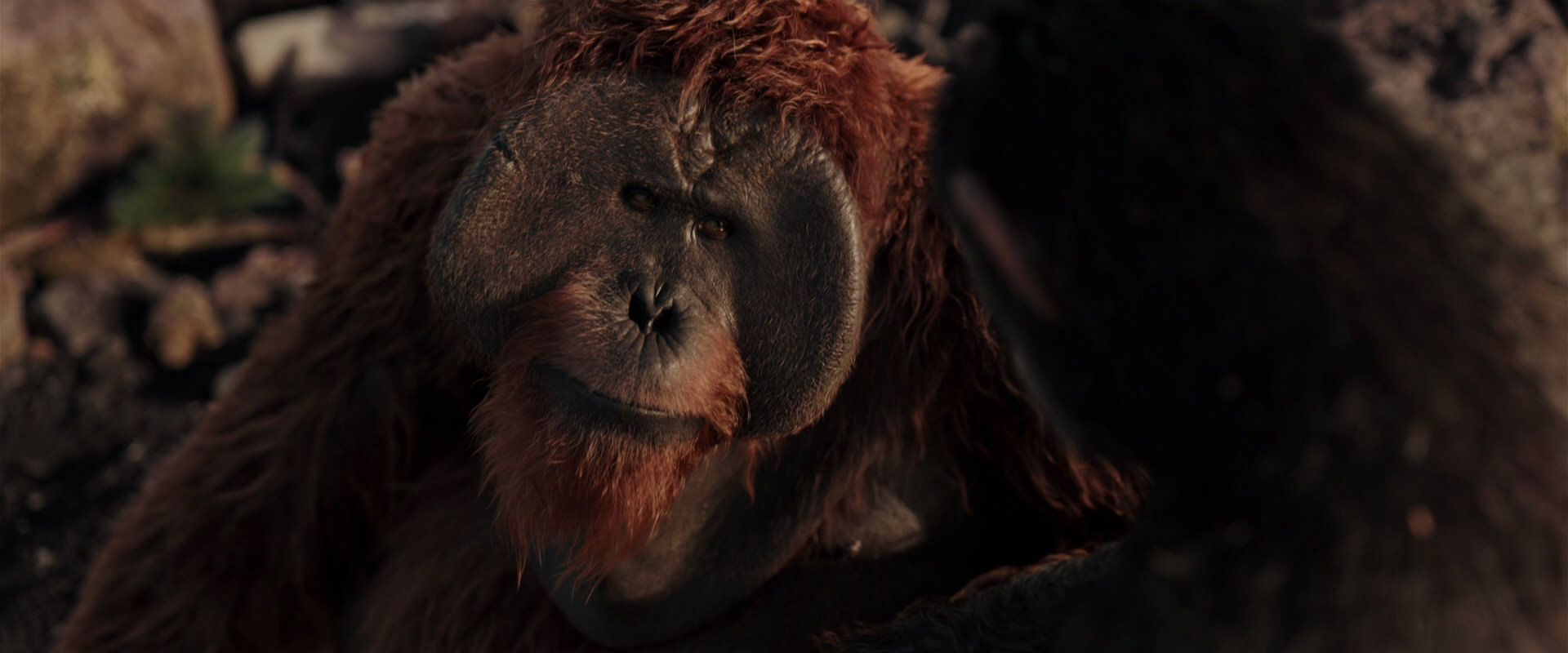 War for the Planet of the Apes (2017) HD screenshot 15293
