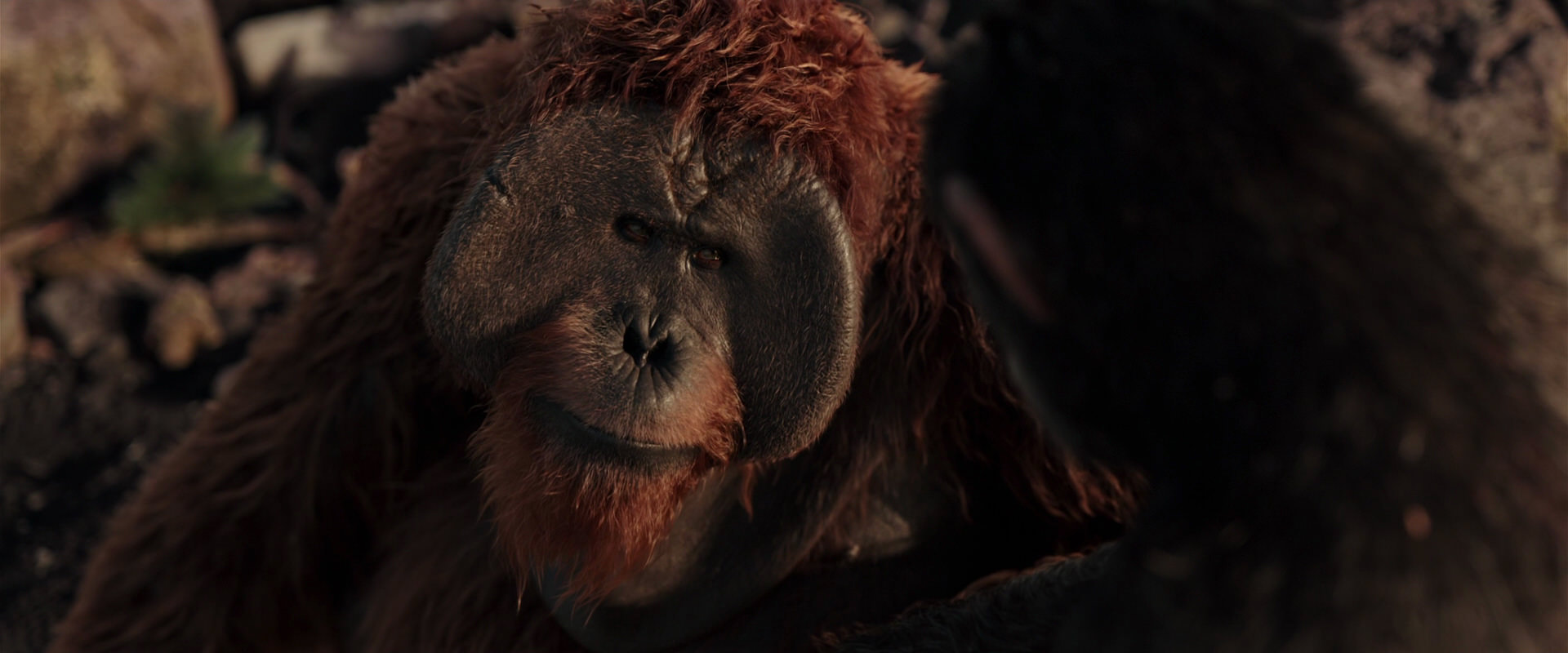 War for the Planet of the Apes (2017) screencap 15294