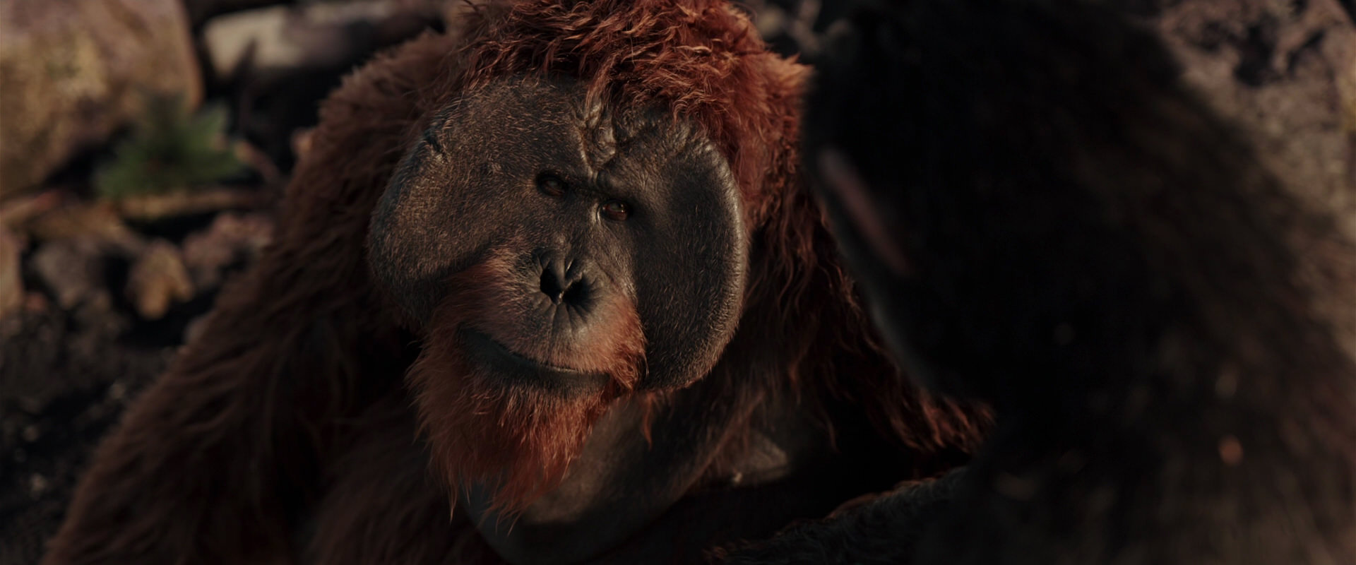 War for the Planet of the Apes (2017) movie still 15295
