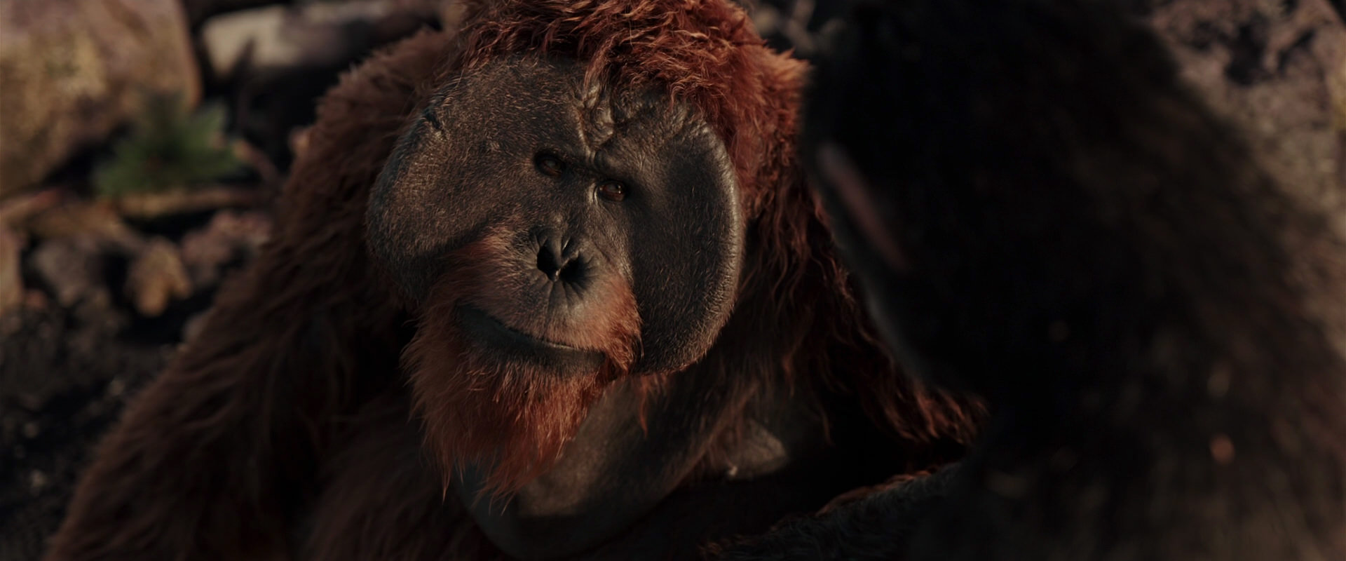 War for the Planet of the Apes (2017) HD screenshot 15296