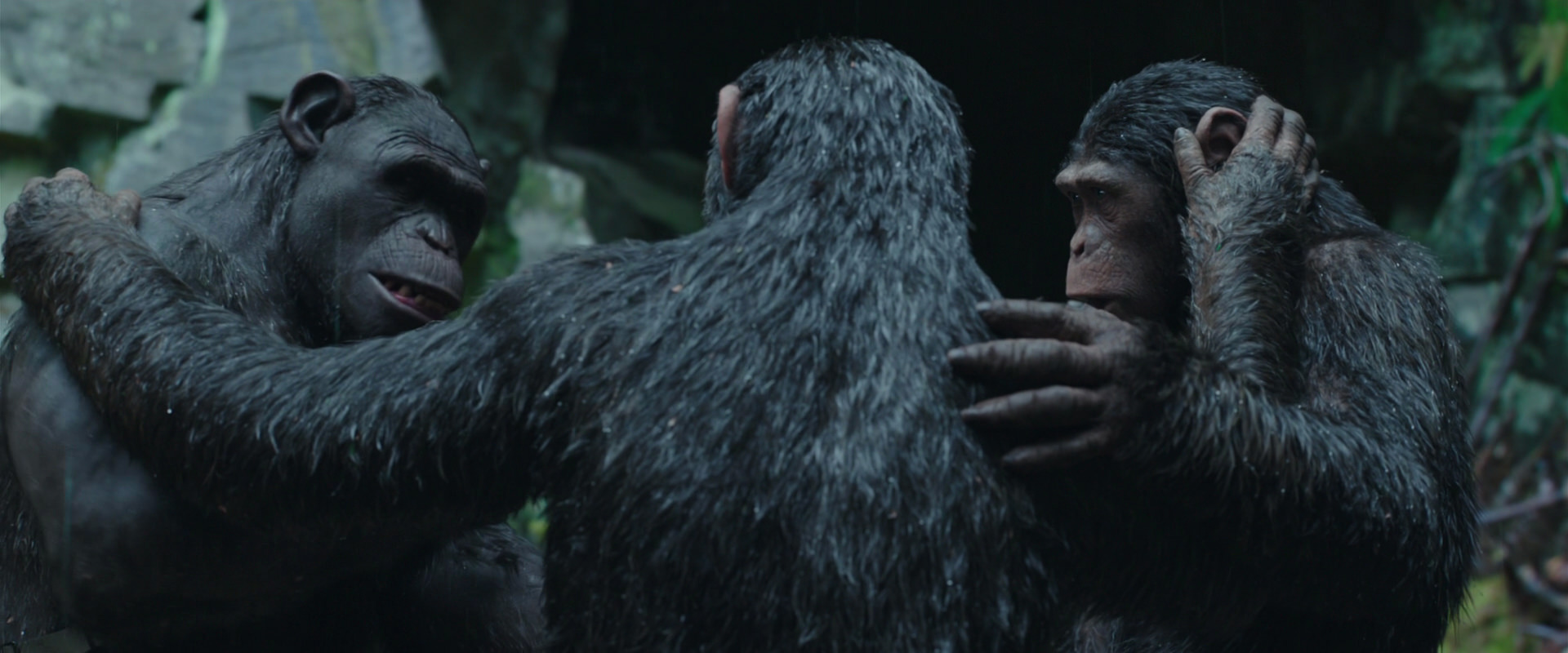War for the Planet of the Apes (2017) screencap 1530