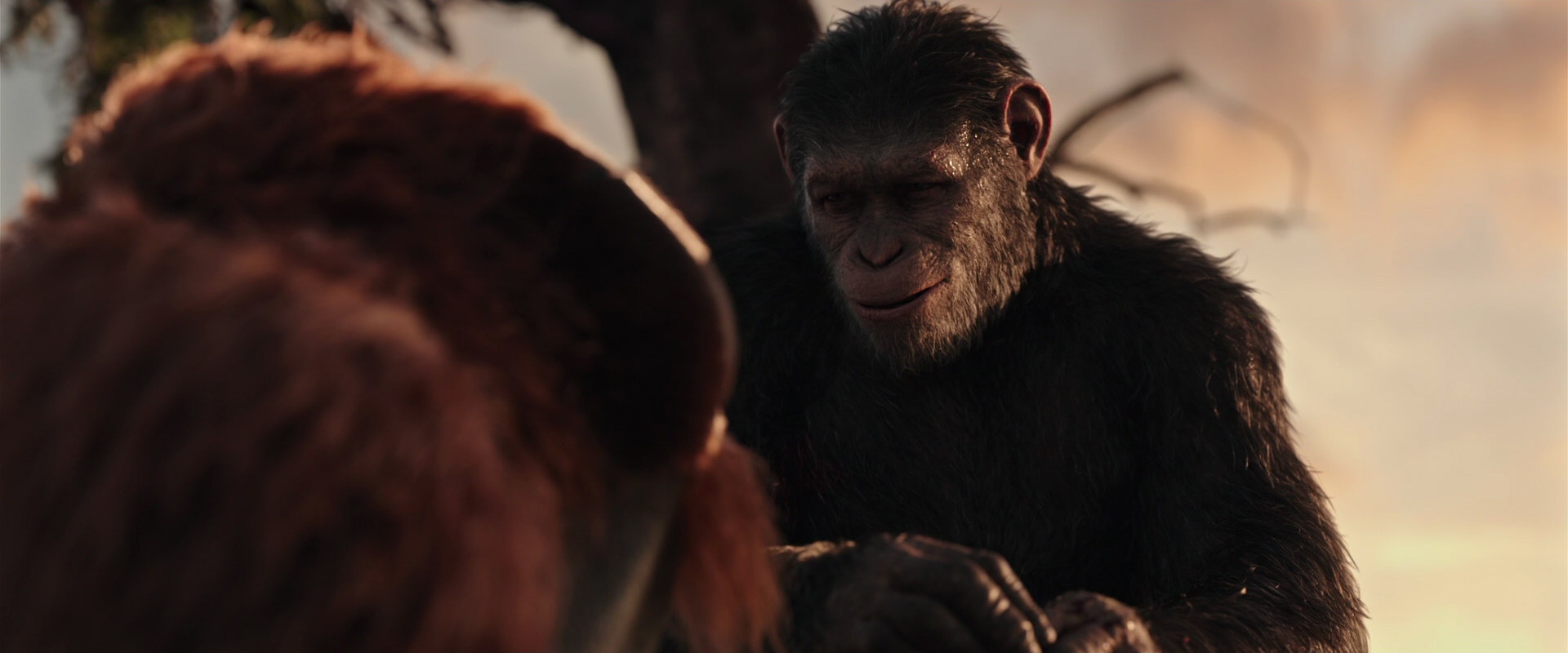 War for the Planet of the Apes (2017) HD screenshot 15302