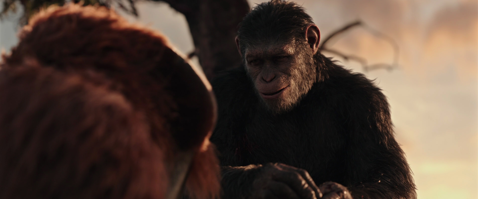 War for the Planet of the Apes (2017) HD screenshot 15305