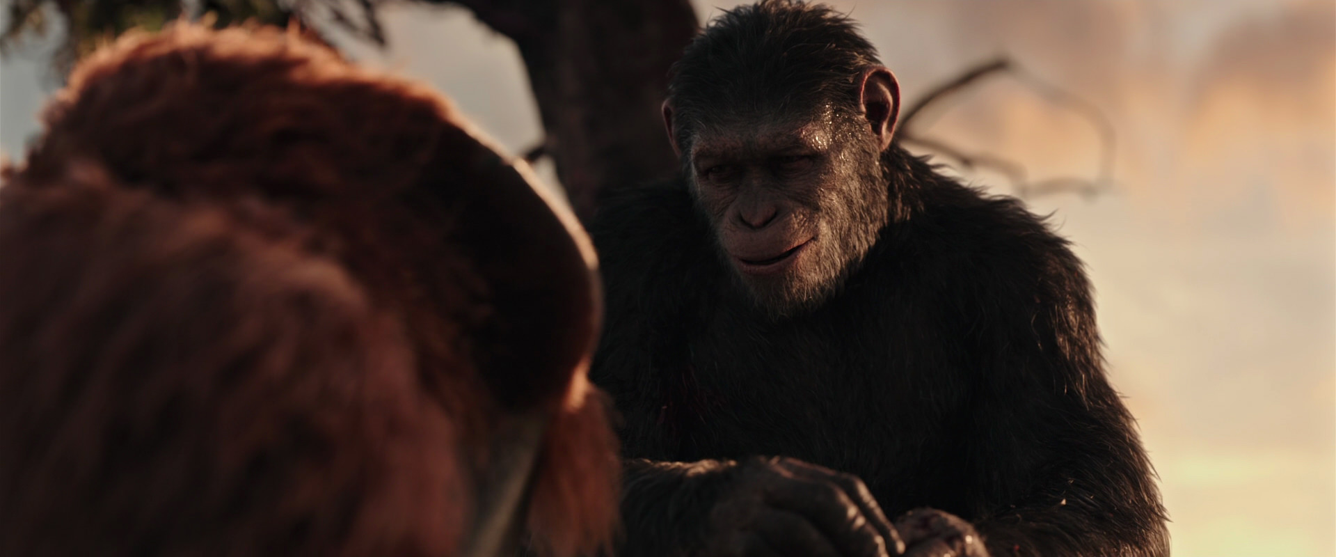 War for the Planet of the Apes (2017) screencap 15306