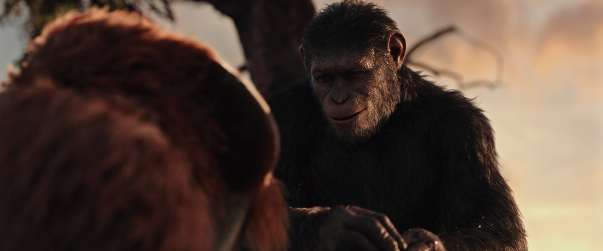 War for the Planet of the Apes (2017) movie still 15307