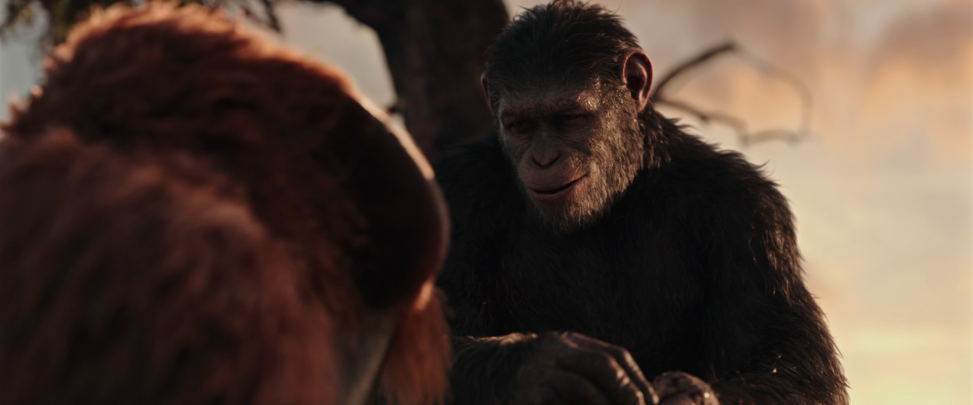 War for the Planet of the Apes (2017) HD screenshot 15308