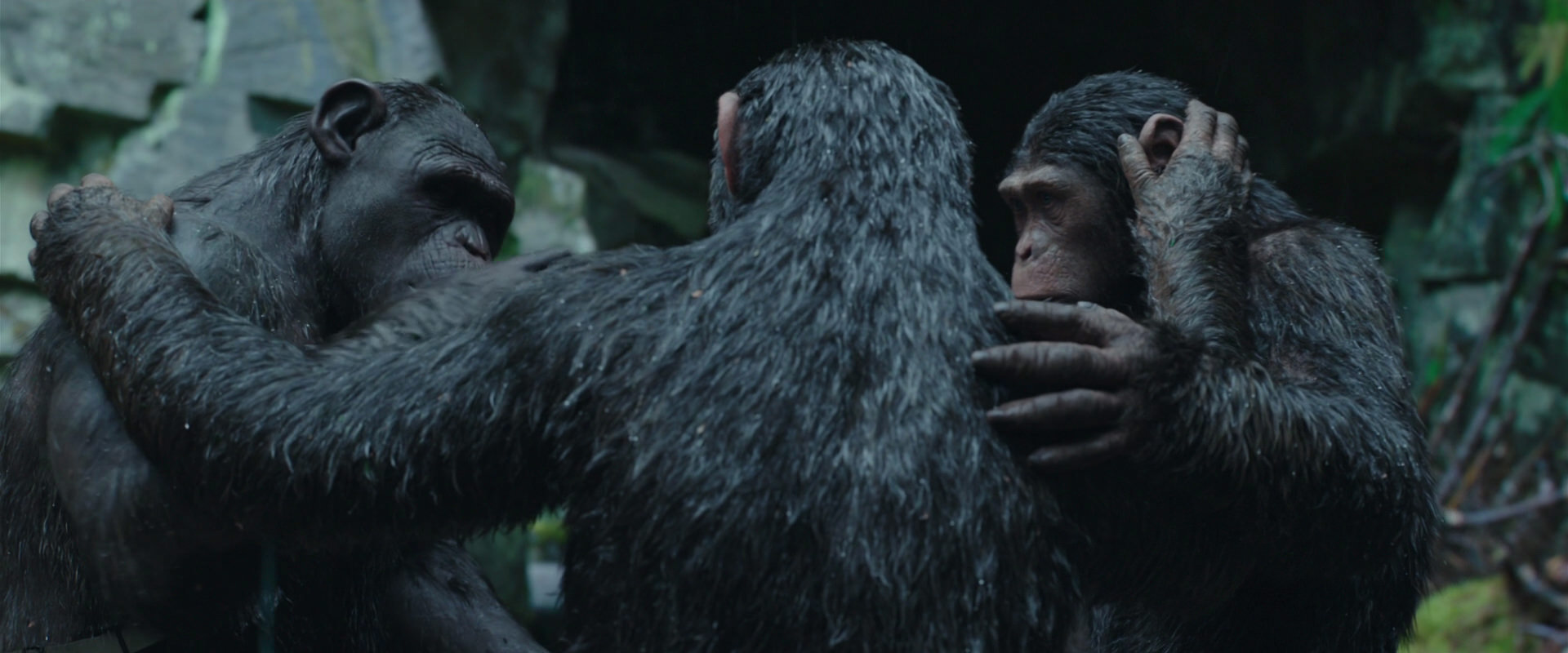 War for the Planet of the Apes (2017) movie still 1531