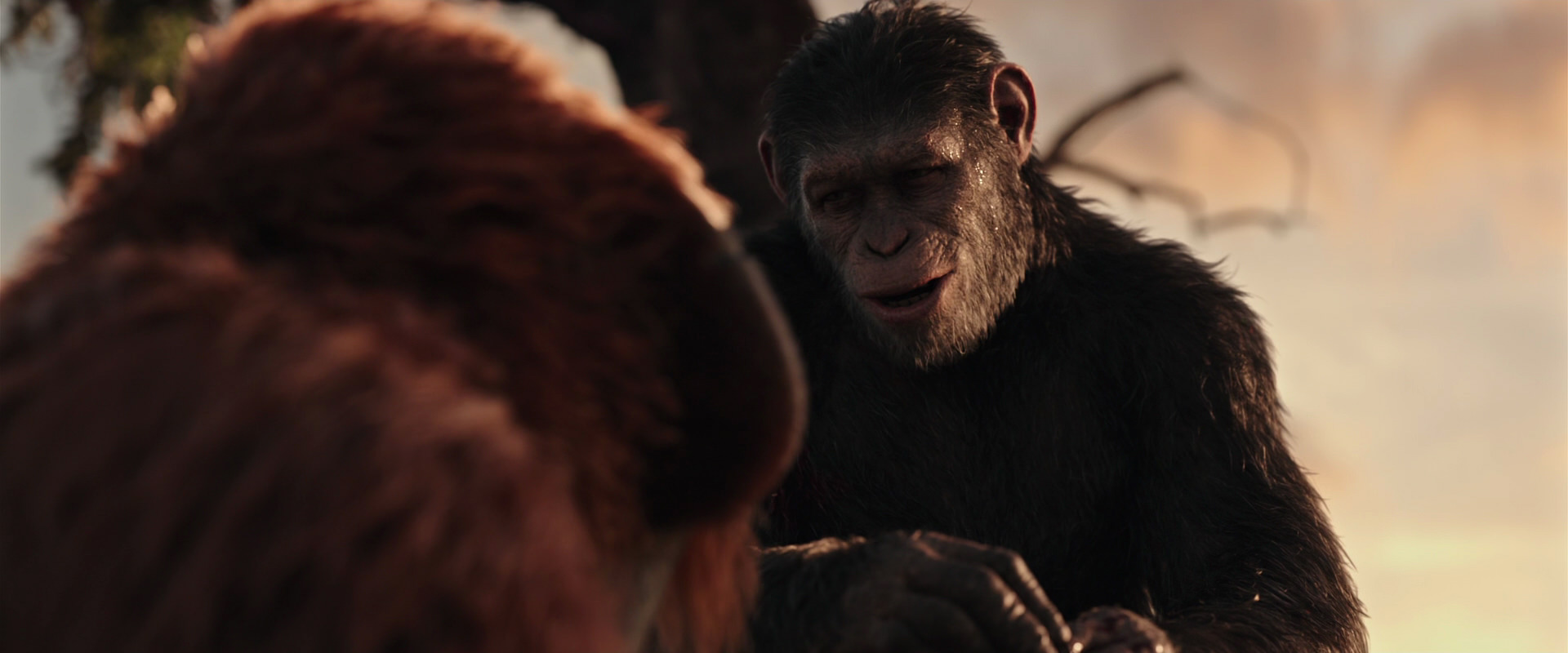 War for the Planet of the Apes (2017) HD screenshot 15317