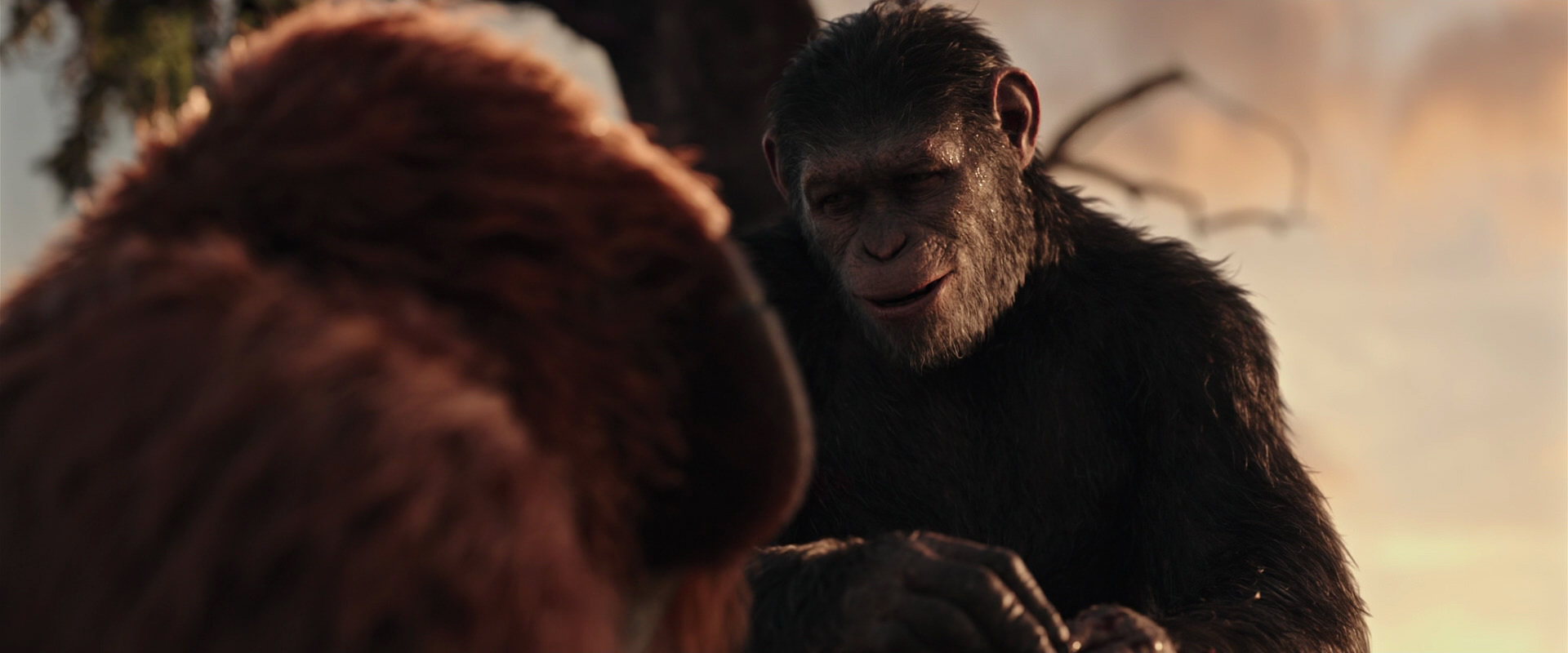 War for the Planet of the Apes (2017) screencap 15318