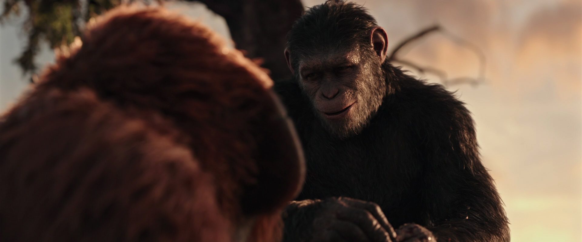 War for the Planet of the Apes (2017) movie still 15319