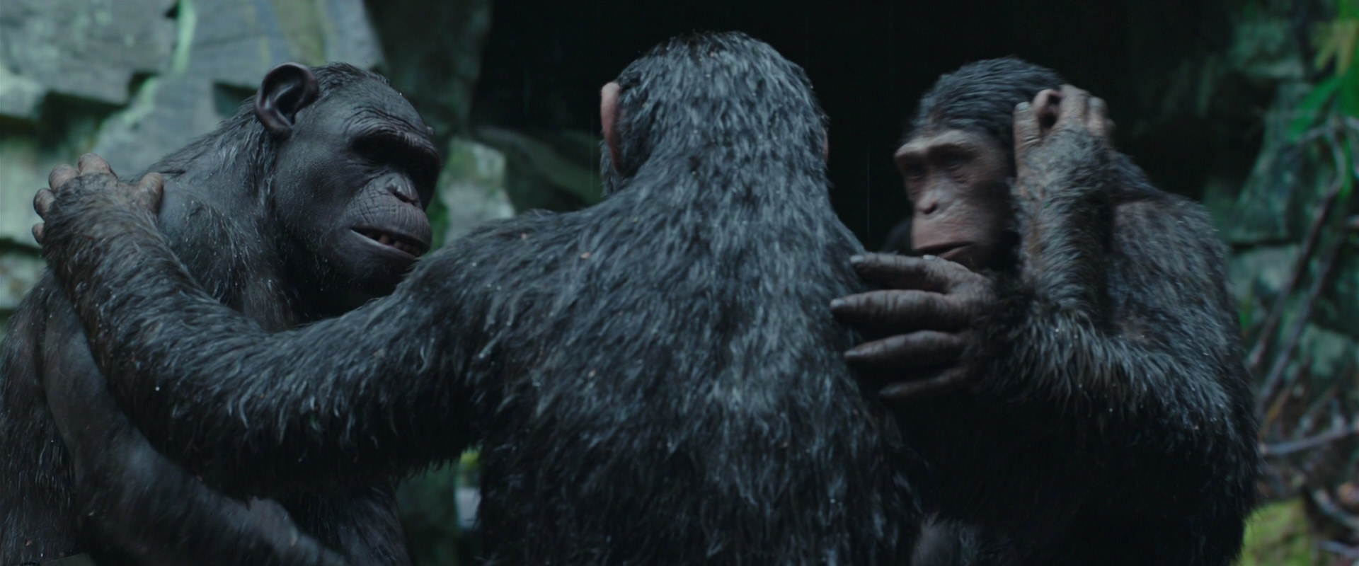 War for the Planet of the Apes (2017) HD screenshot 1532
