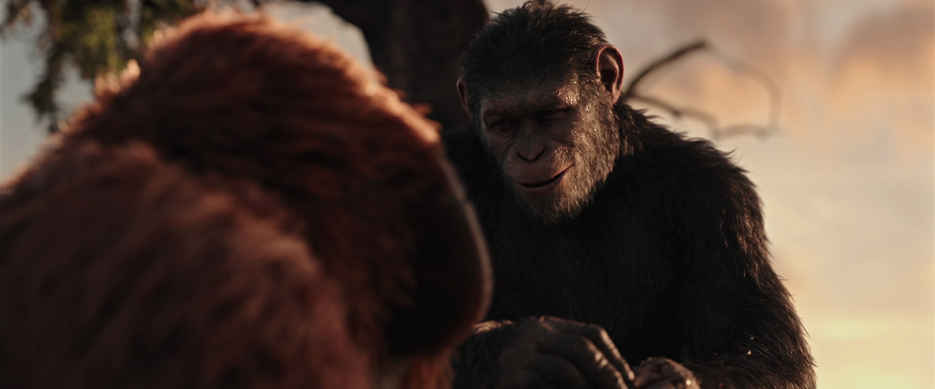 War for the Planet of the Apes (2017) HD screenshot 15320