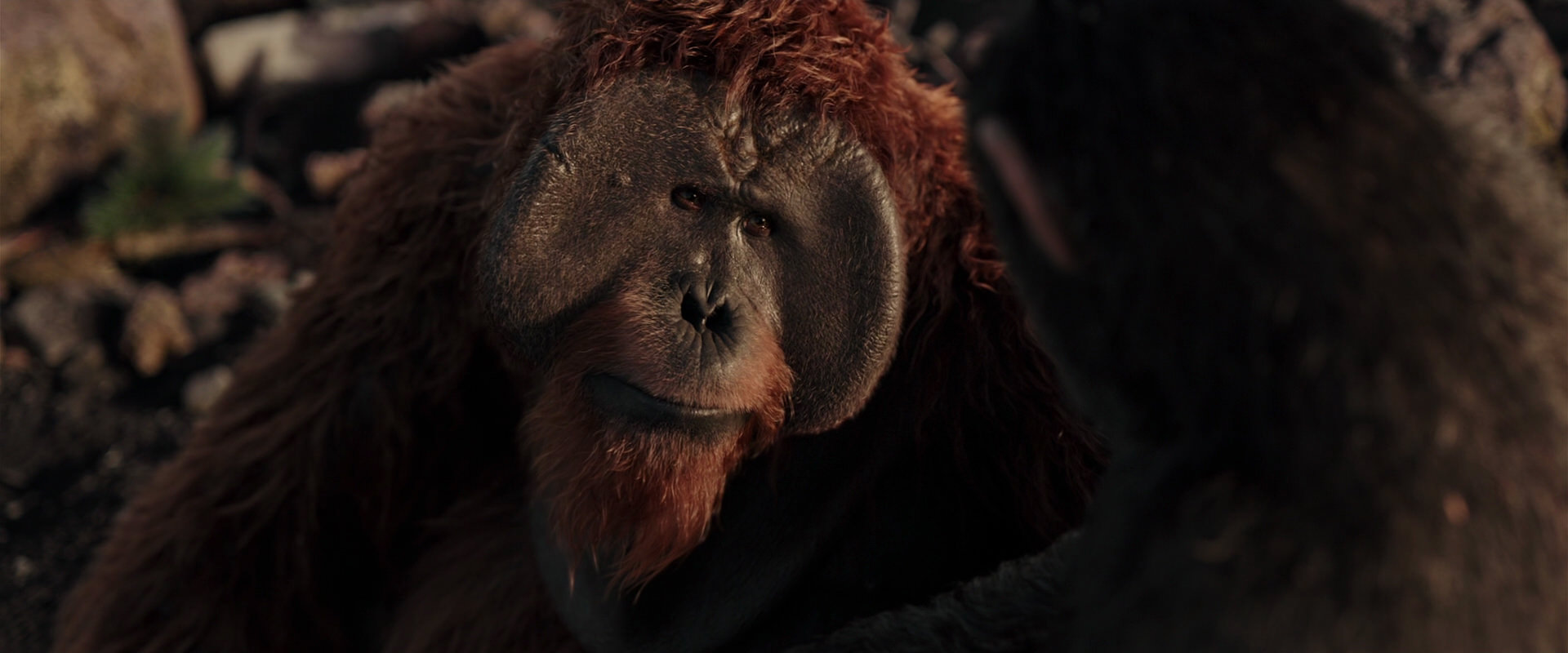 War for the Planet of the Apes (2017) screencap 15321