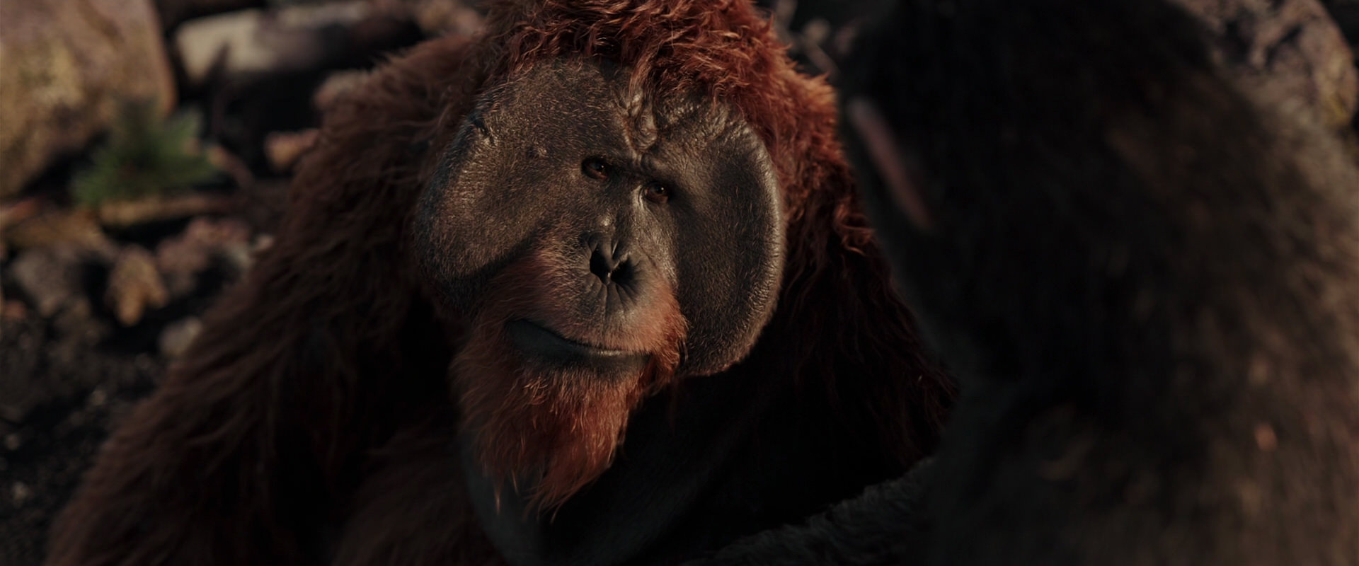 War for the Planet of the Apes (2017) movie still 15322