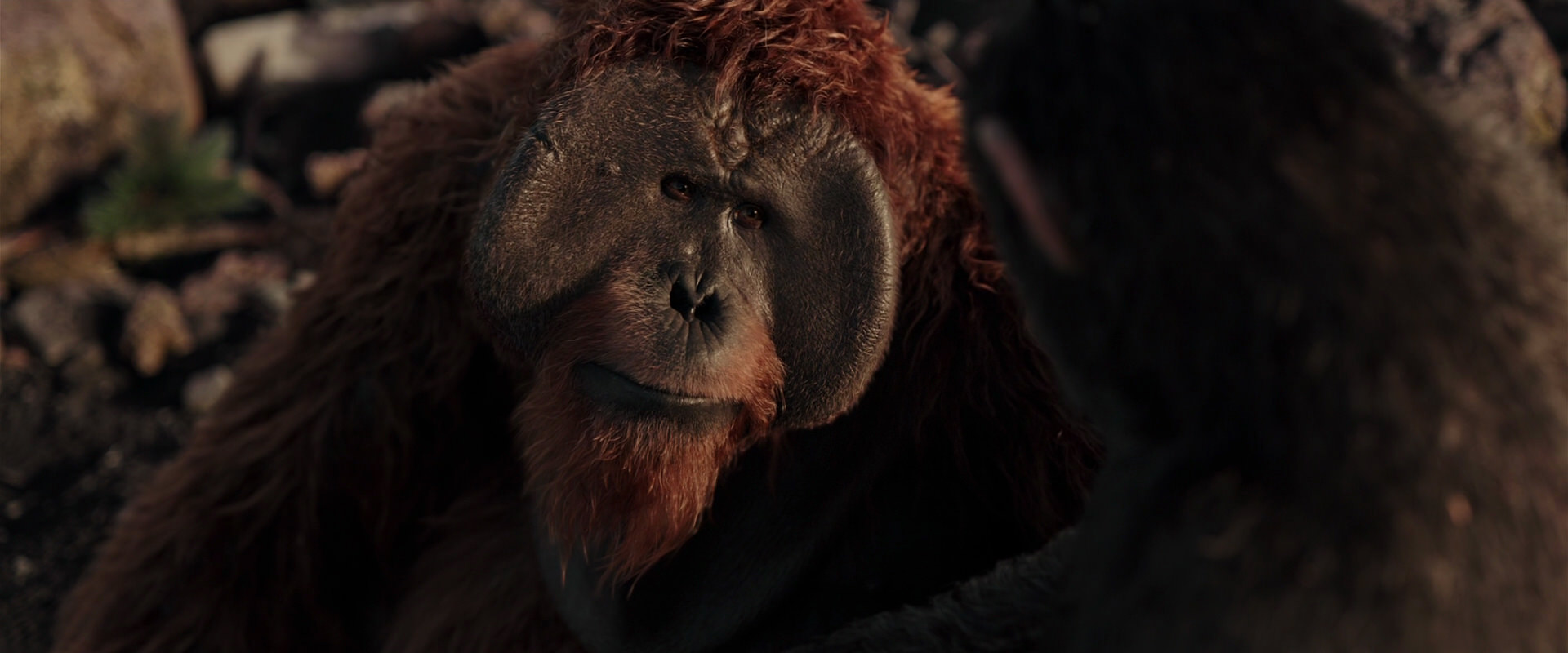 War for the Planet of the Apes (2017) HD screenshot 15323