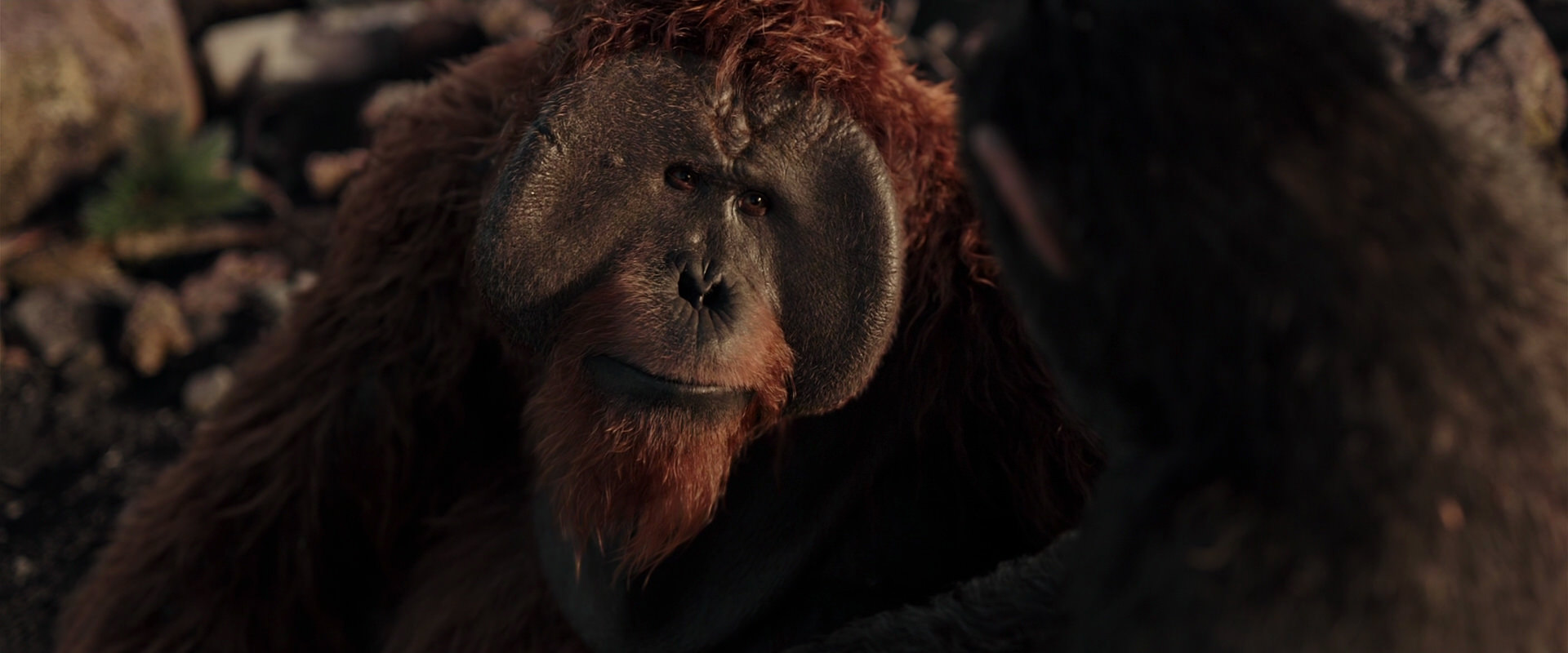 War for the Planet of the Apes (2017) screencap 15324