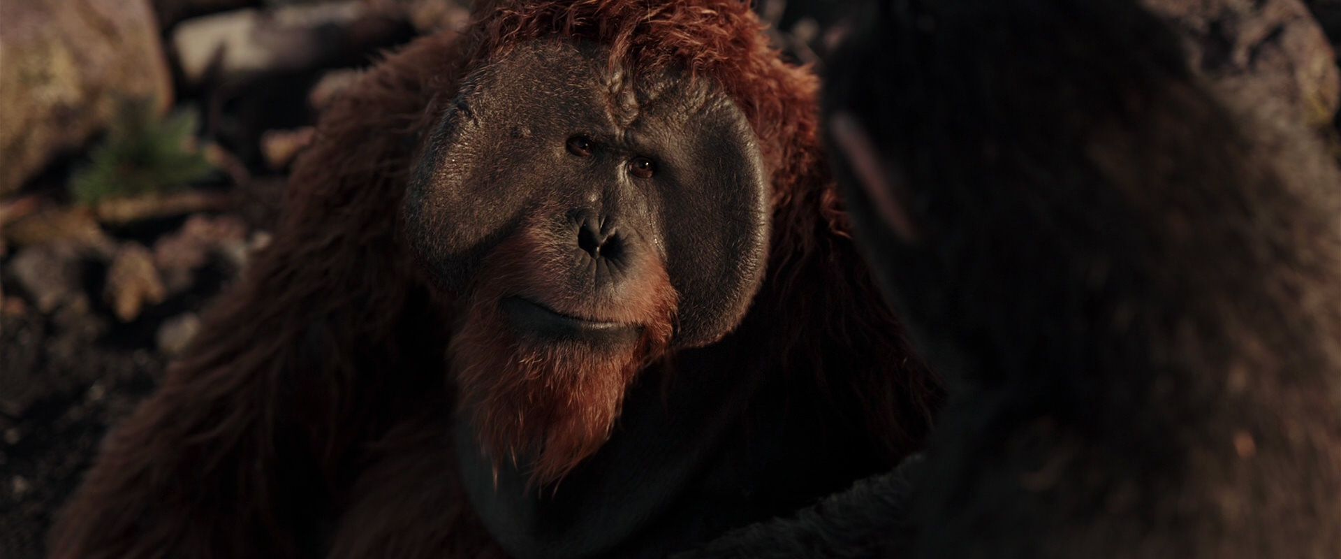 War for the Planet of the Apes (2017) movie still 15325