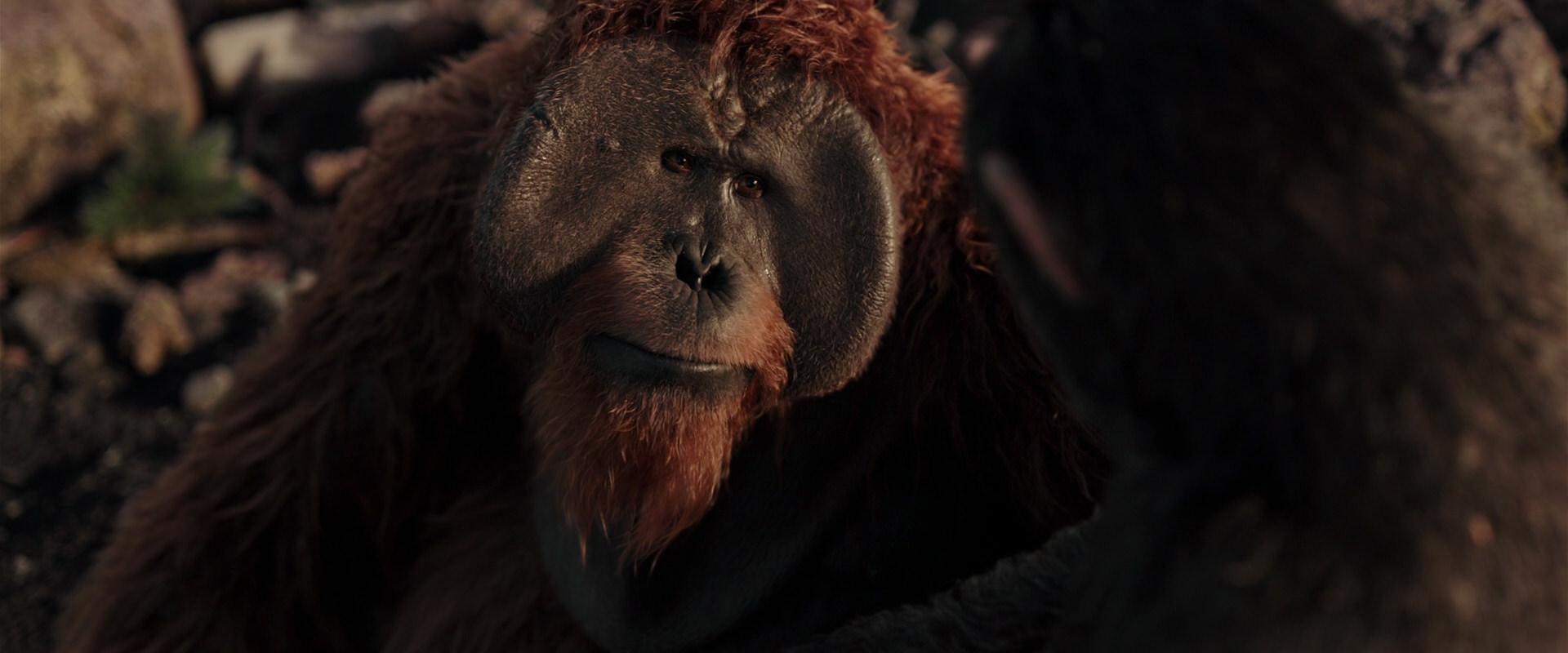 War for the Planet of the Apes (2017) HD screenshot 15326