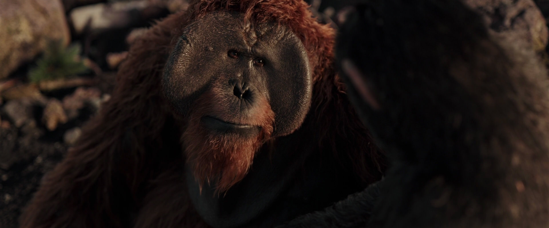 War for the Planet of the Apes (2017) screencap 15327