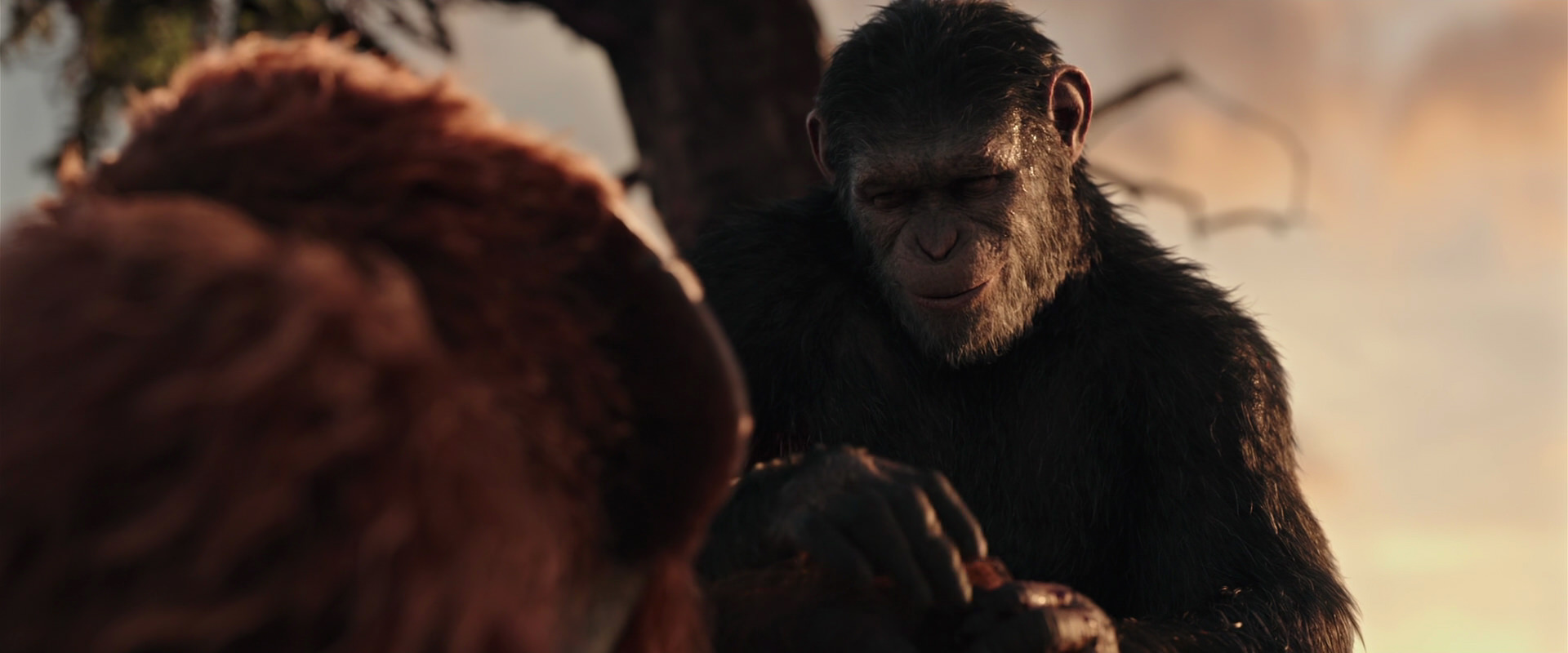 War for the Planet of the Apes (2017) HD screenshot 15329