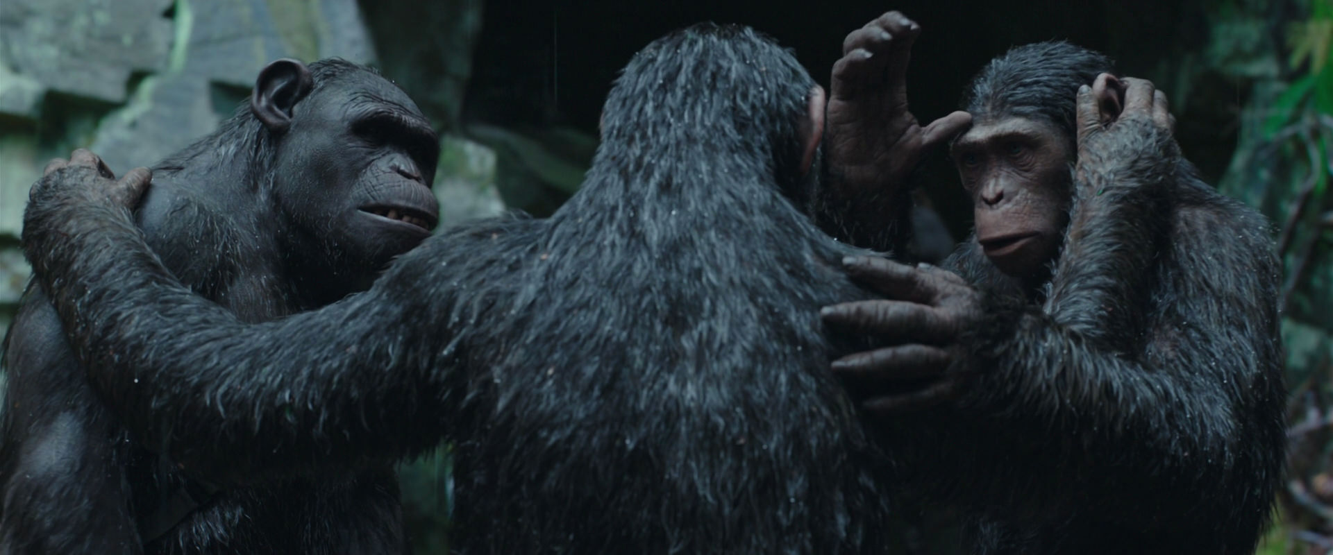 War for the Planet of the Apes (2017) screencap 1533