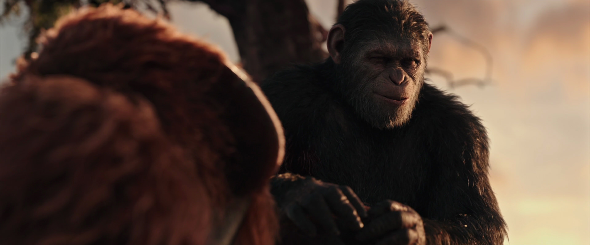 War for the Planet of the Apes (2017) HD screenshot 15332