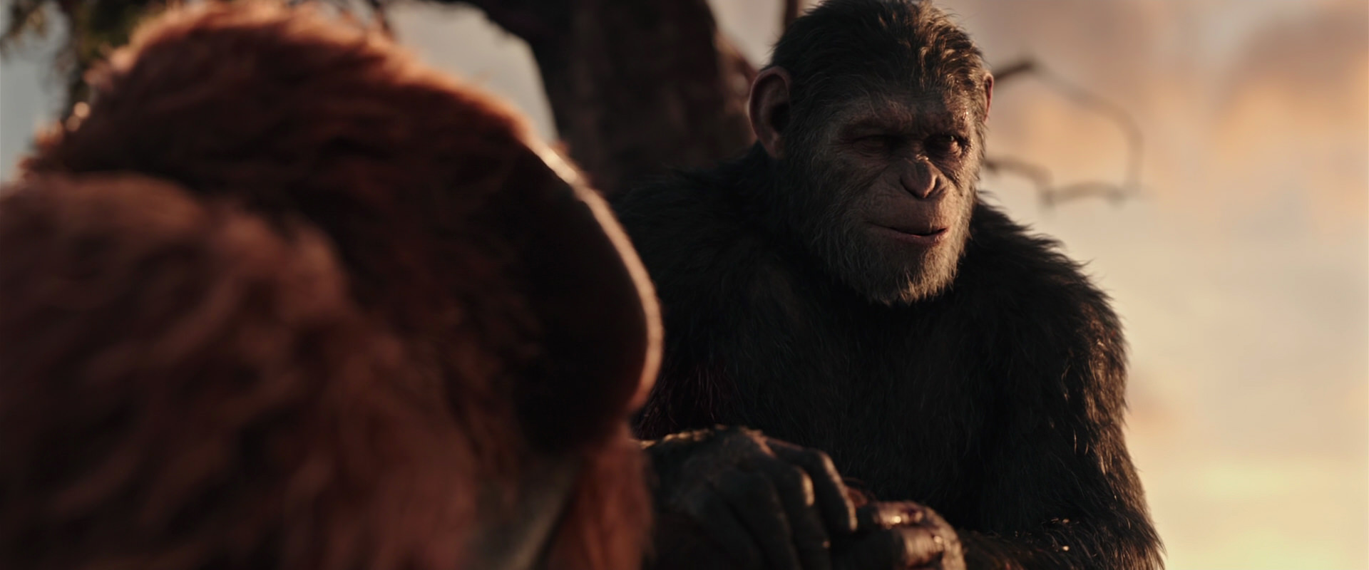 War for the Planet of the Apes (2017) screencap 15333