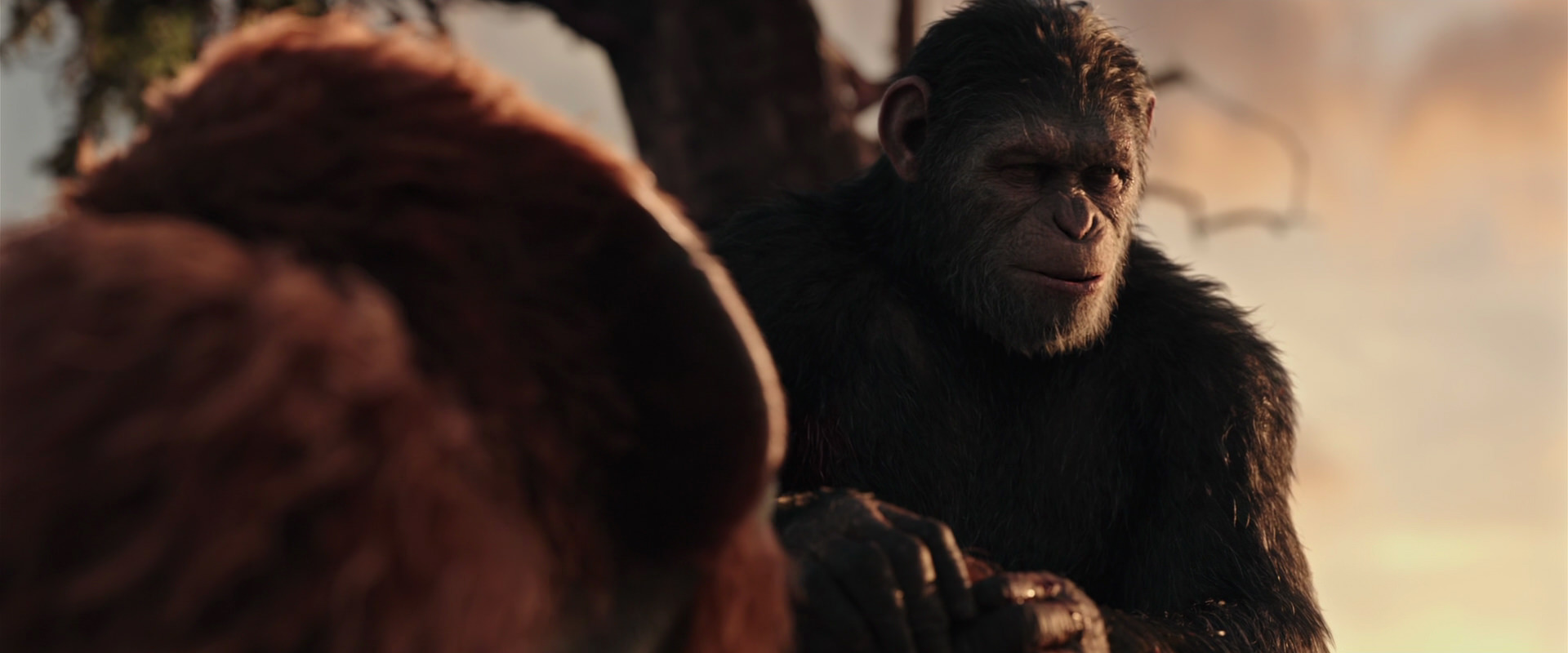 War for the Planet of the Apes (2017) movie still 15334